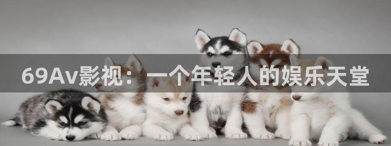 飘雪影院在线观看免费版高清