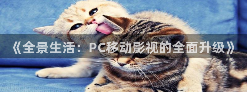 飘雪影院在线免费观看