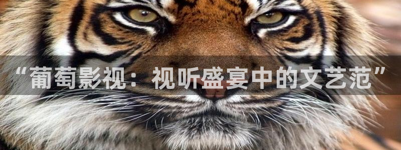 飘雪影院正版免费观看