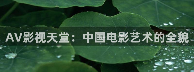 飘雪影院免费版在线观看