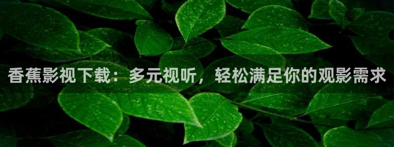 飘雪影视高清在线播放