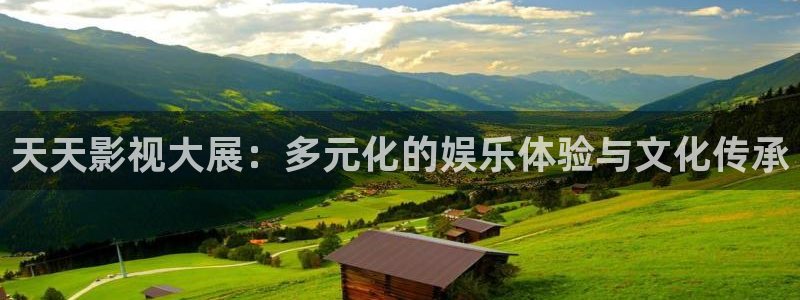 飘雪影院网：天天影视大展：多元化的娱乐体验与文化传承