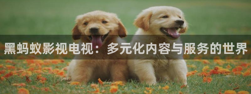 飘雪影院在线观看免费播放：黑蚂蚁影视电视：多元化内容与服务的世界