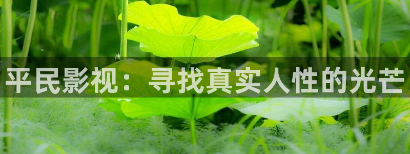 飘雪影视高清在线观看