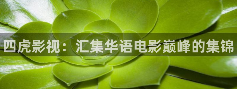 飘雪影院在线观看高清电影免费