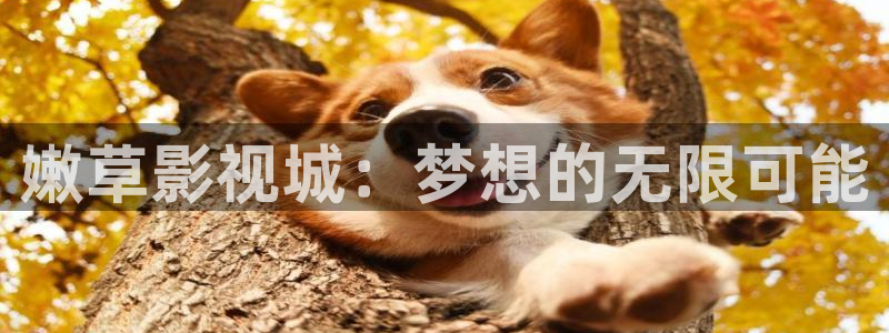 飘雪影院我不卡