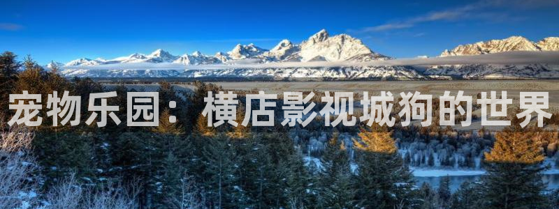 飘雪影院动漫